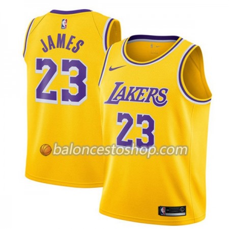 Camiseta Hombre NBA Los Angeles Lakers Lebron James 23 2018-19 Nike Gris Swingman